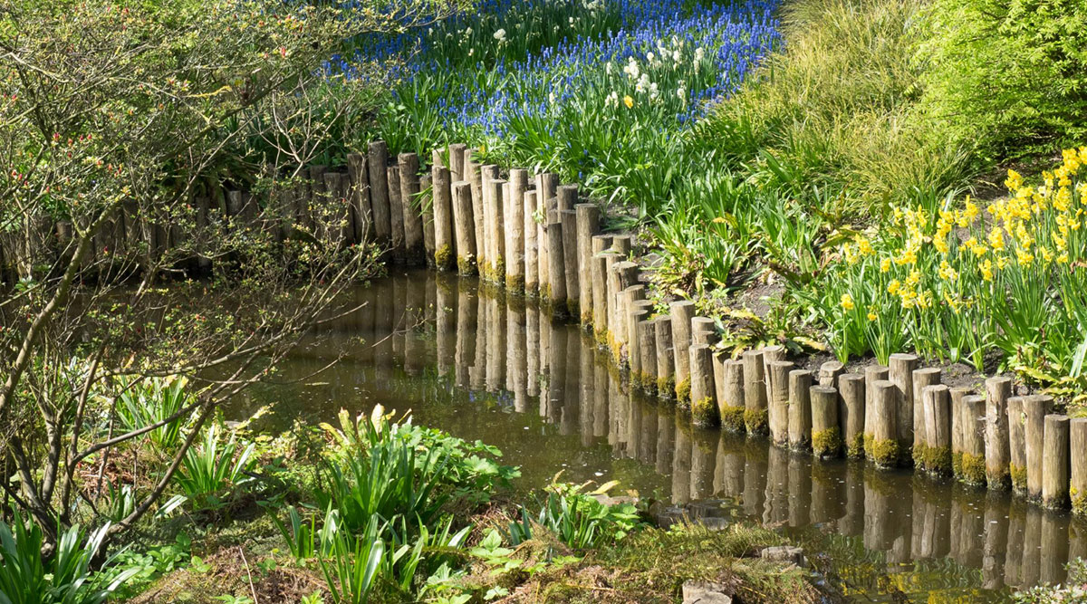 close up of river