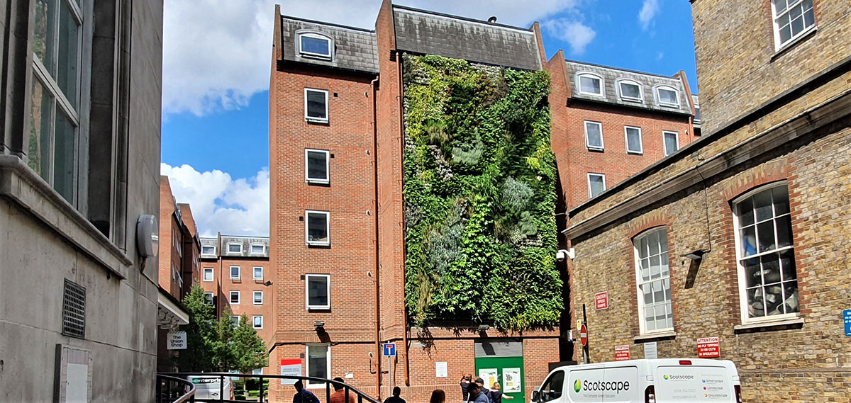 living wall orchard lisle london bridge team
