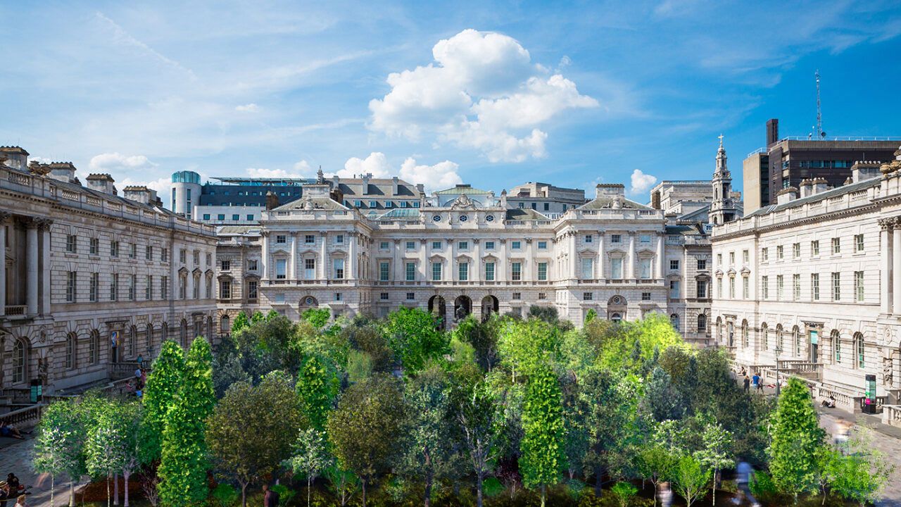 micro forest somerset house