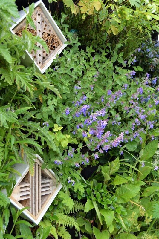 living walls urban greening pollinator