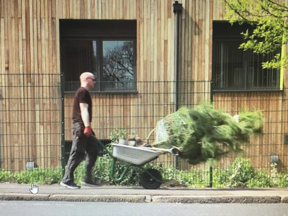 living walls invictus niall