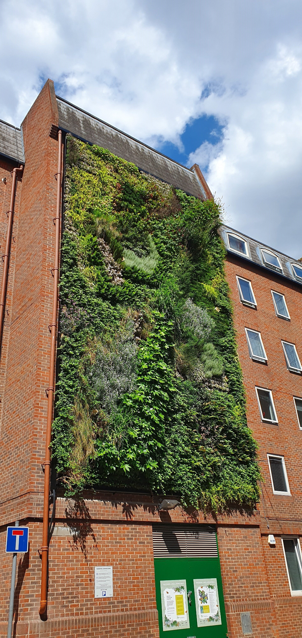 living walls london bridge  portrait