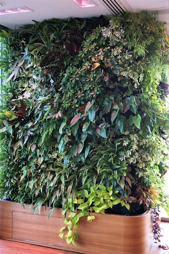 living walls interior office jungle-planter