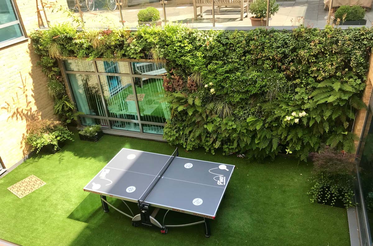 A ping pong table set in a backyard, surrounded by a lush wall of green plants.