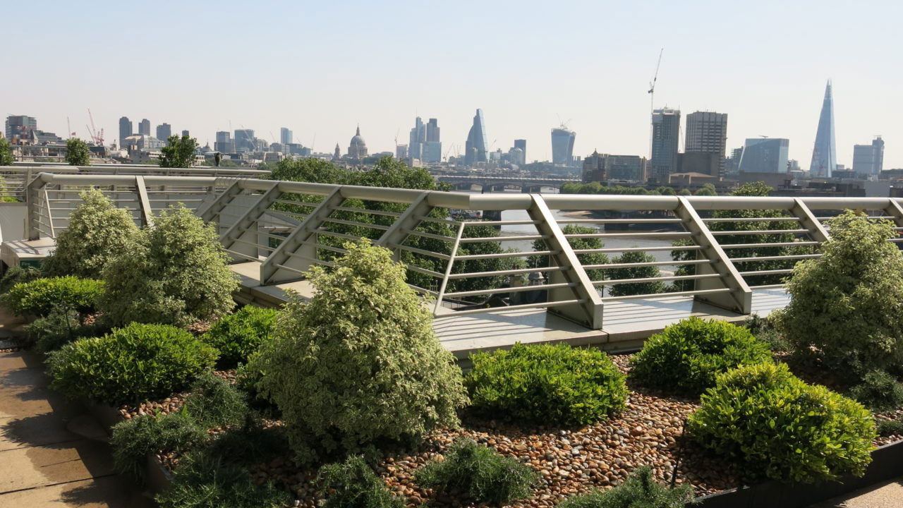 A panoramic view of the city skyline from a lush rooftop garden, showcasing tall buildings against a clear blue sky.