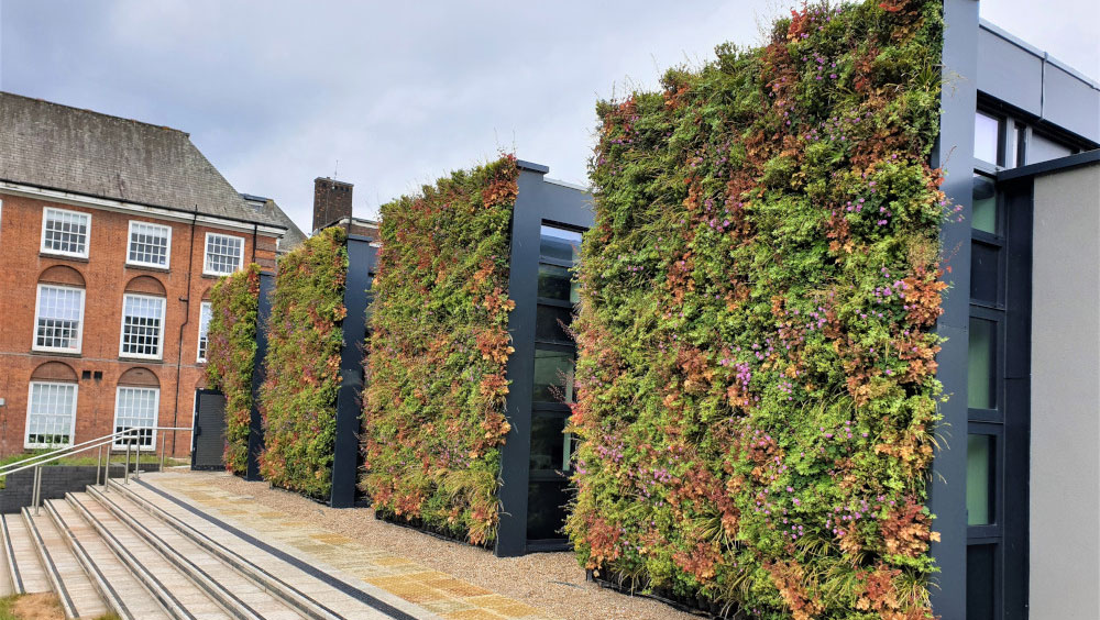 A vertical green wall adorned with various plants thriving in a lush, natural environment.