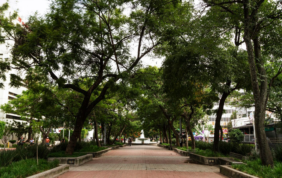 A city walkway bordered by trees and buildings, creating a scenic urban environment.