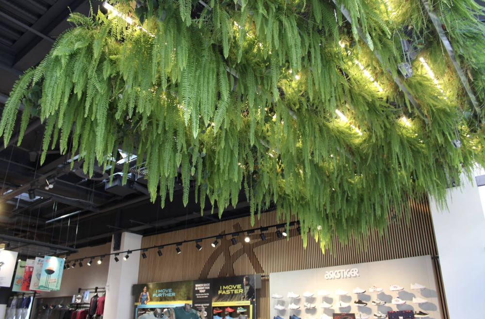 living ceiling asics oxford street trainers