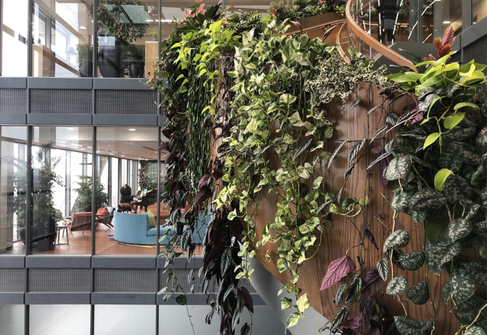 living wall office london staircase foliage