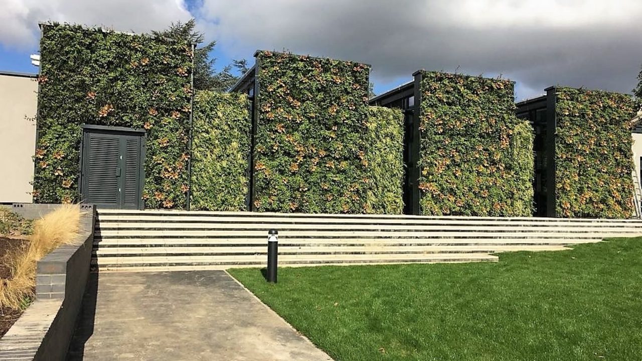 living wall parliament hill school 230m2 installation 2018