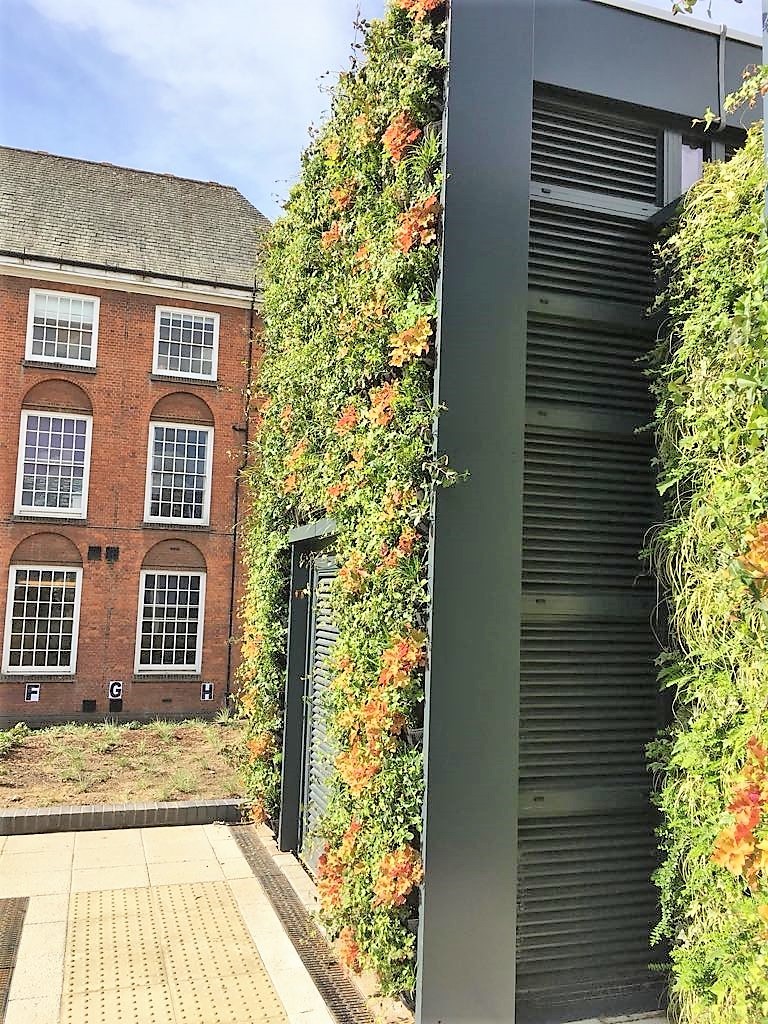 living wall parliament hill school outdoors building
