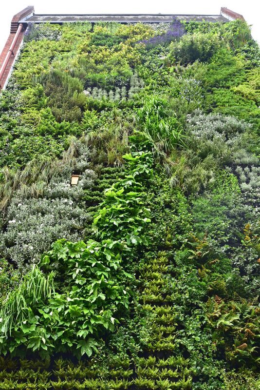  living walls london bridge bottom view