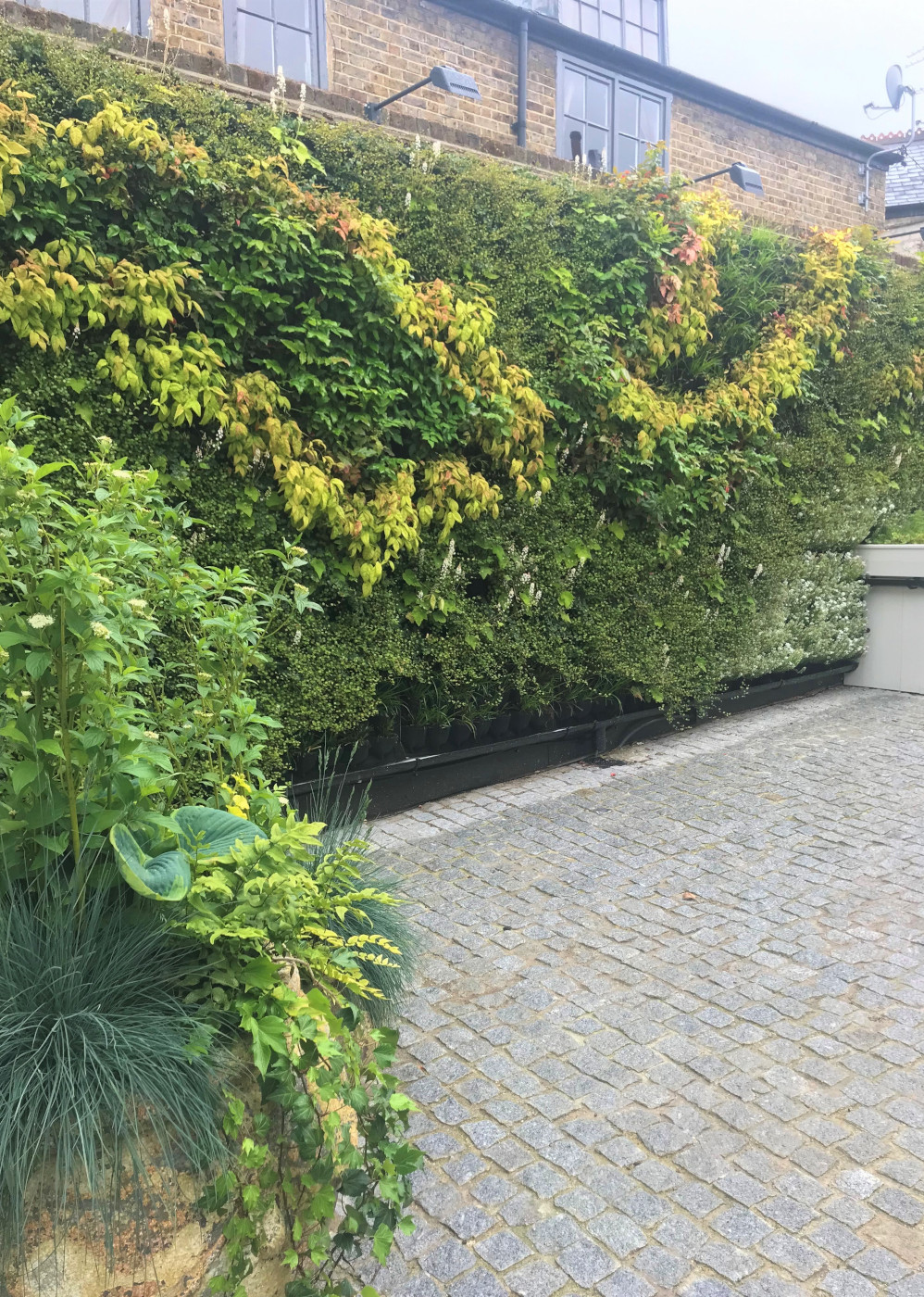 Living Walls for Property Developers Image of courtyard garden with Living Wall