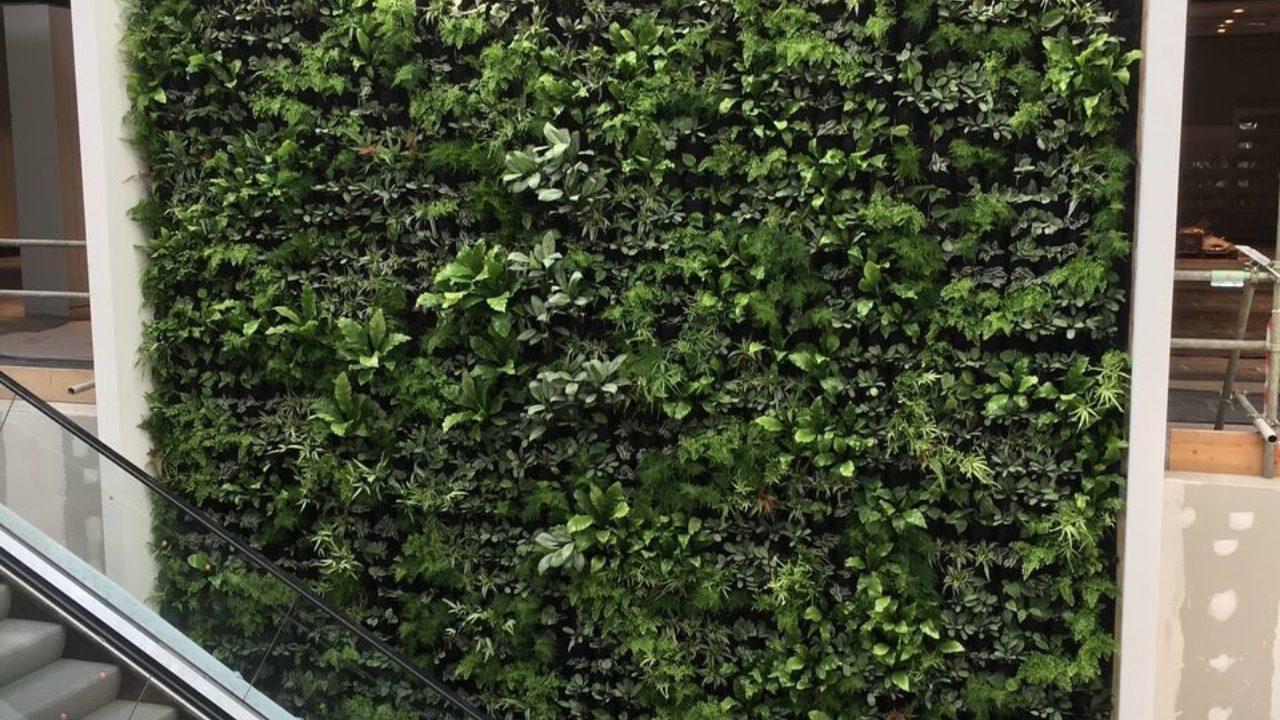 living walls house of fraser escalator