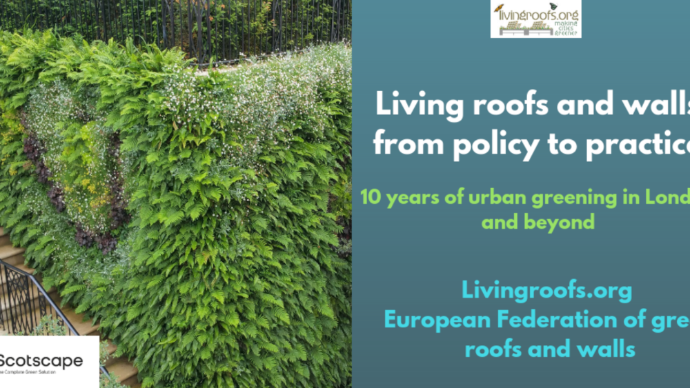living walls urban greening infographic livingroofs