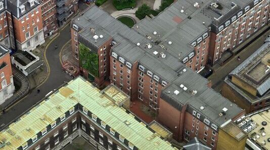 living walls london bridge view from shard
