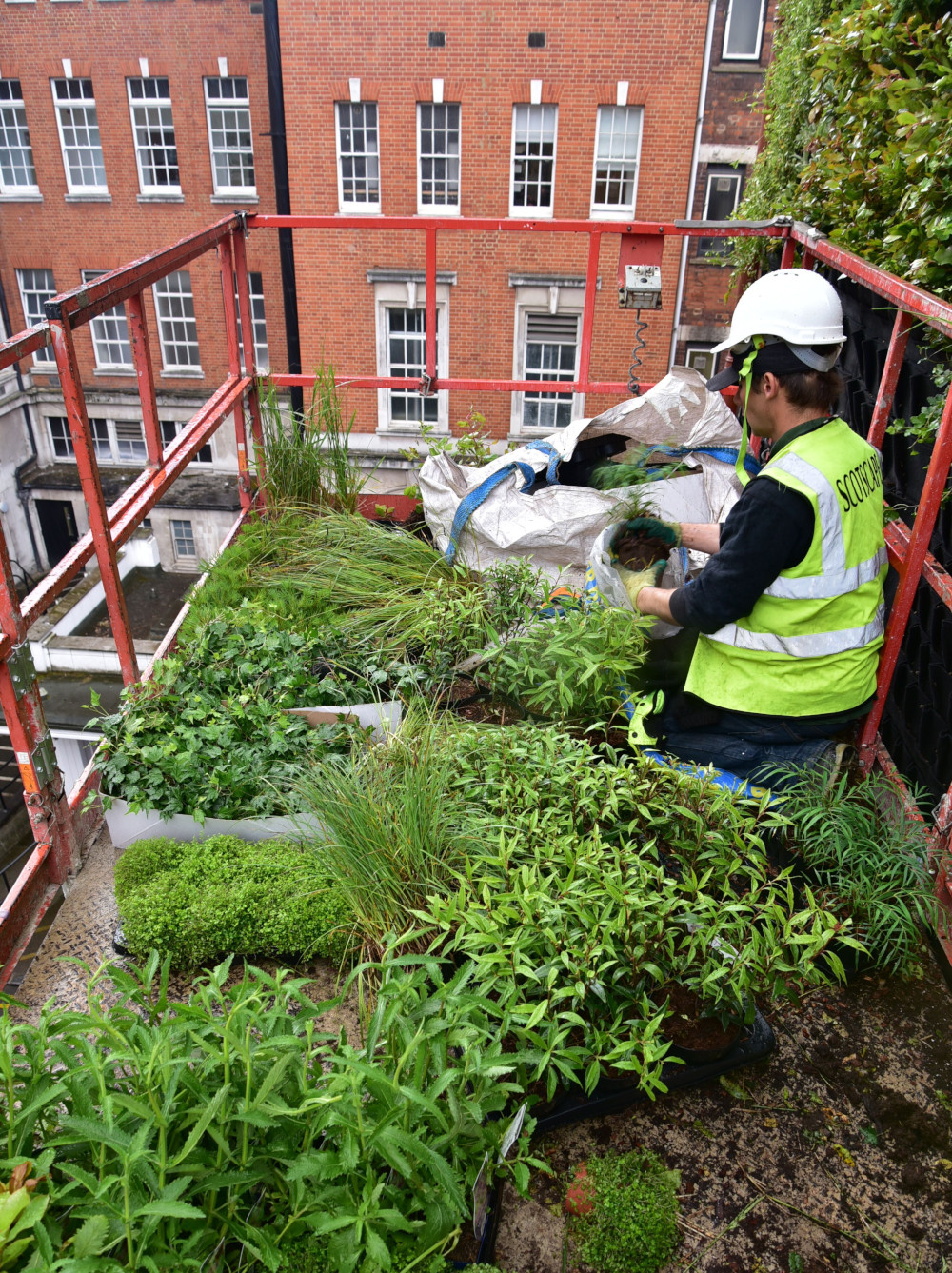 living walls orchard lisle installation