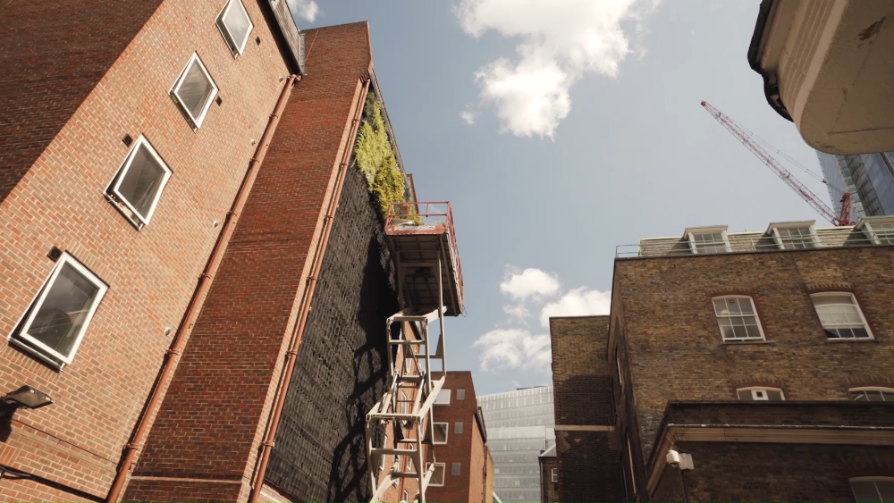 Lisle Living Wall selected for Local Project Challenge