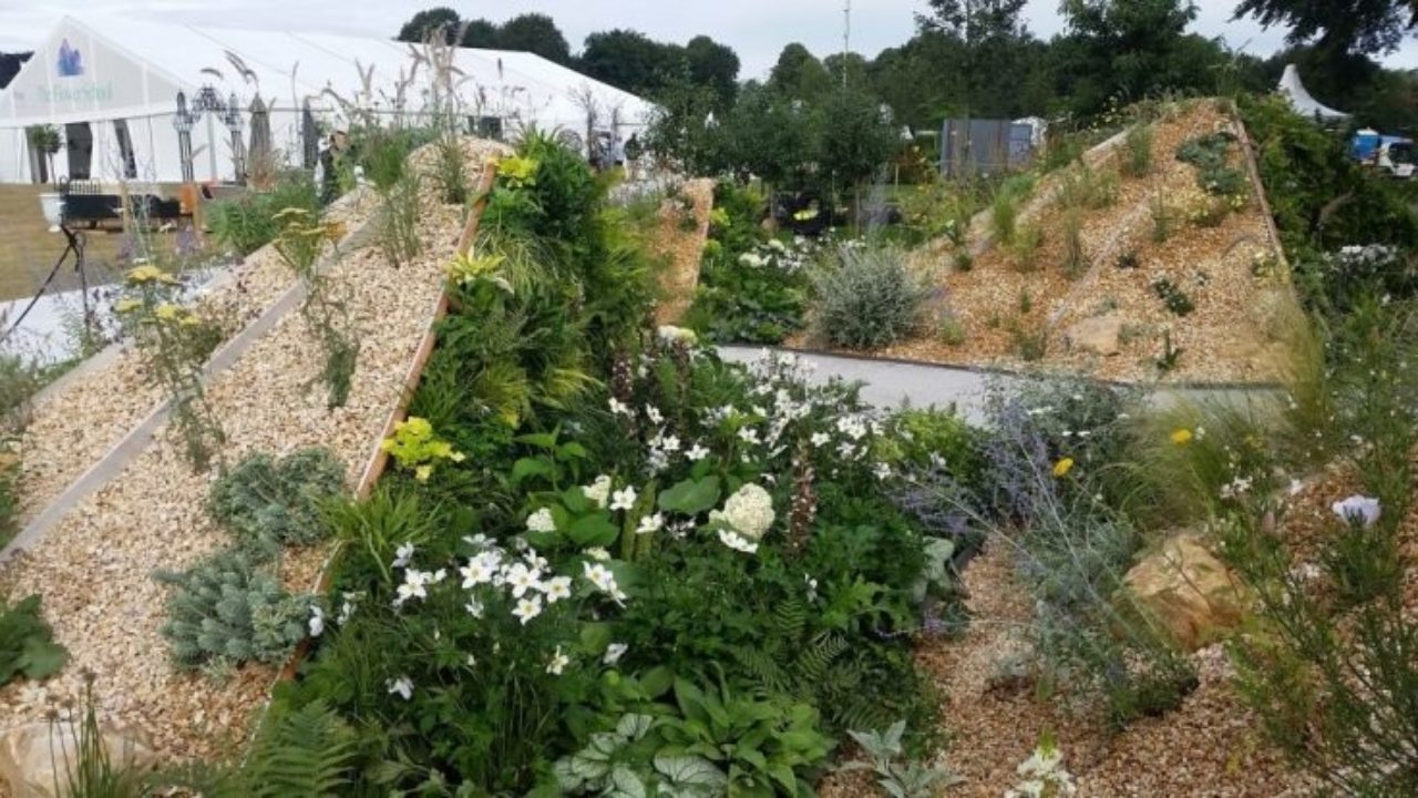 oasis garden rhs tatton tent