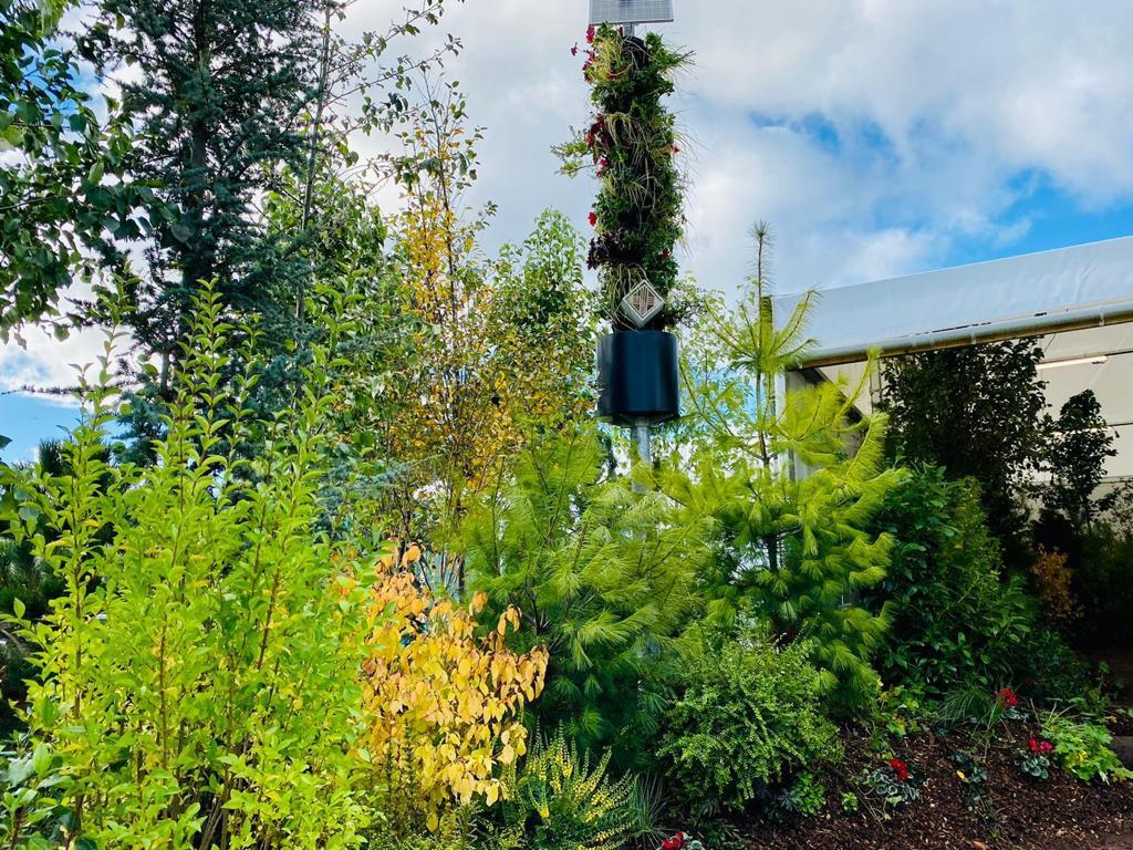 living pillars cop 26