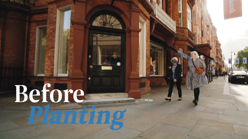 Smartscape plant up Green Streets