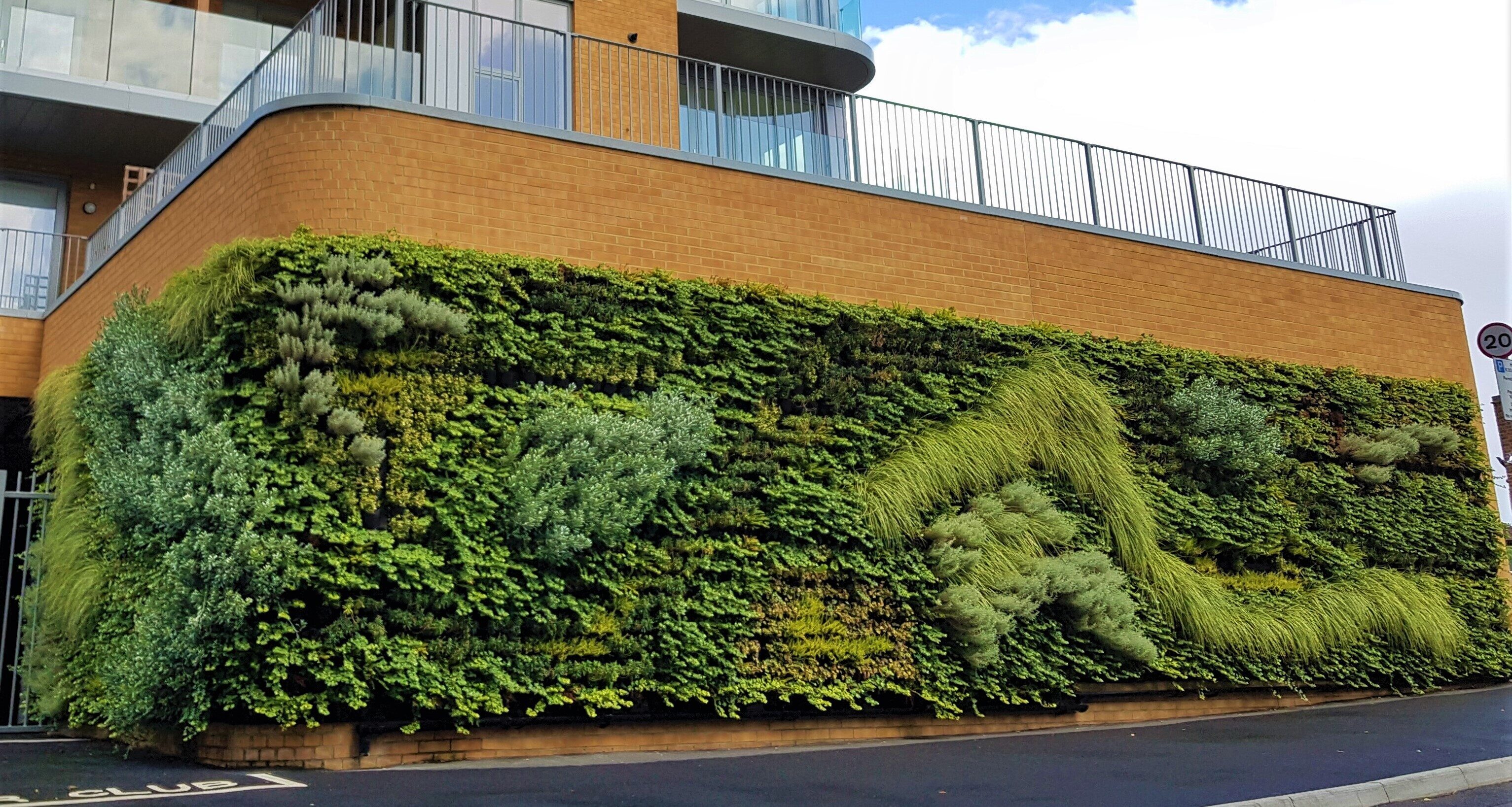 living walls hampden road
