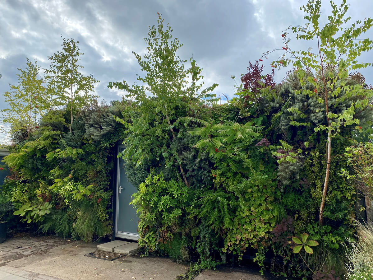 newsletter nov2025 woodland wall