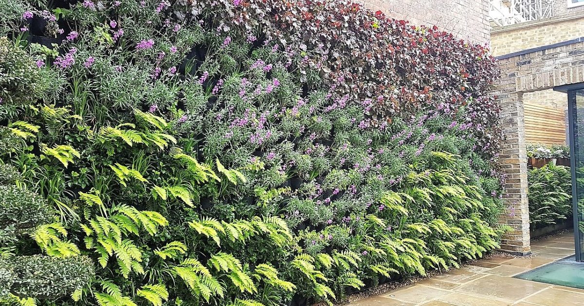 Living Walls Barton Street Horticulture