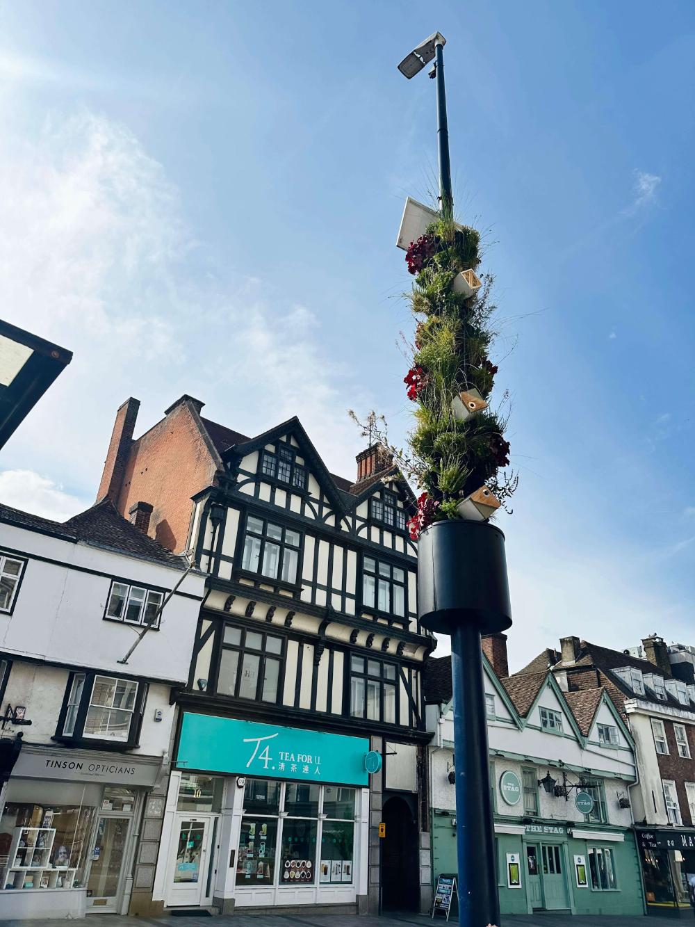 Case Study LivingPillars Transform Maidstone Town Centre | Projects