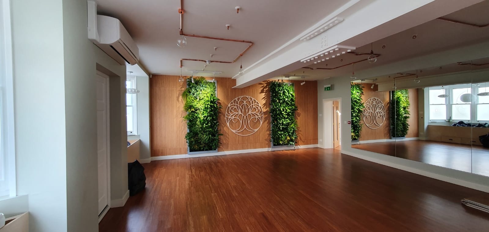 living walls ikigai holistic whitstable wide