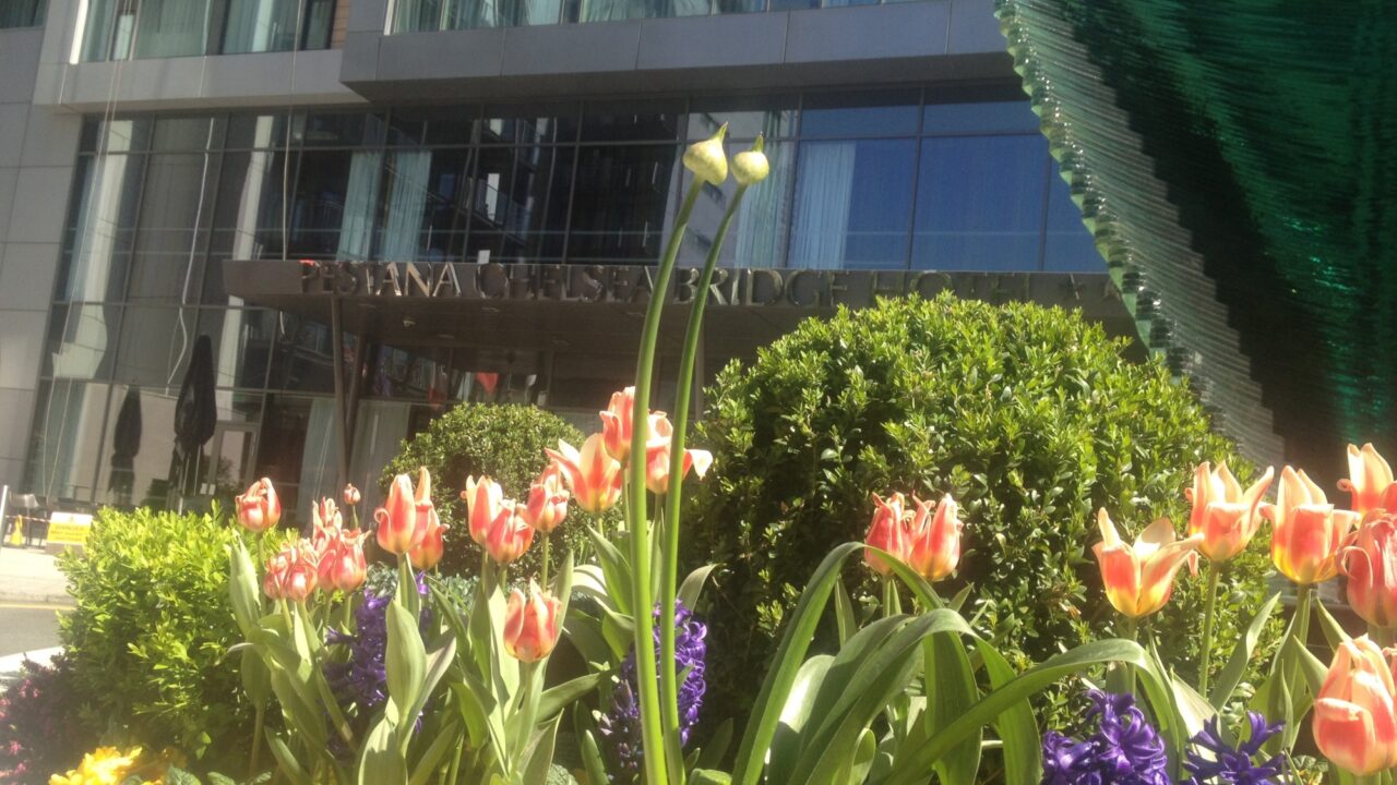Landscape Maintchance Chelsea Bridge Spring Bulbs