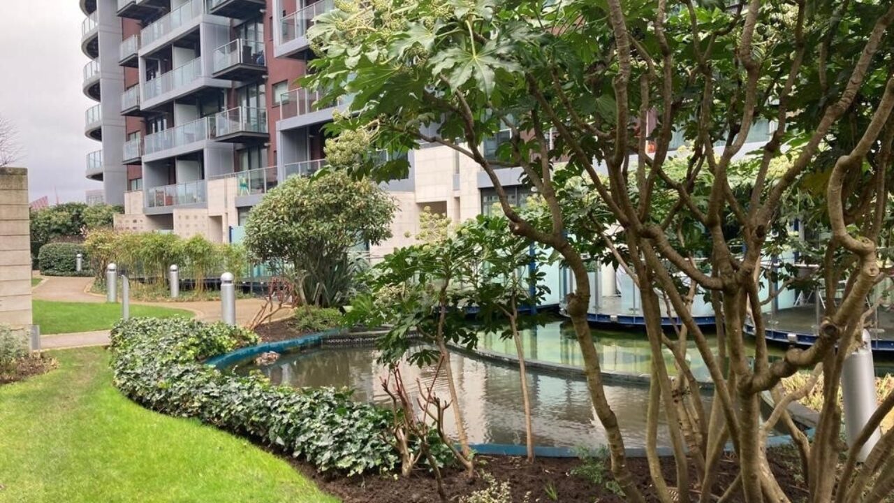 Landscape Maintchance Chelsea Bridge Water Edge