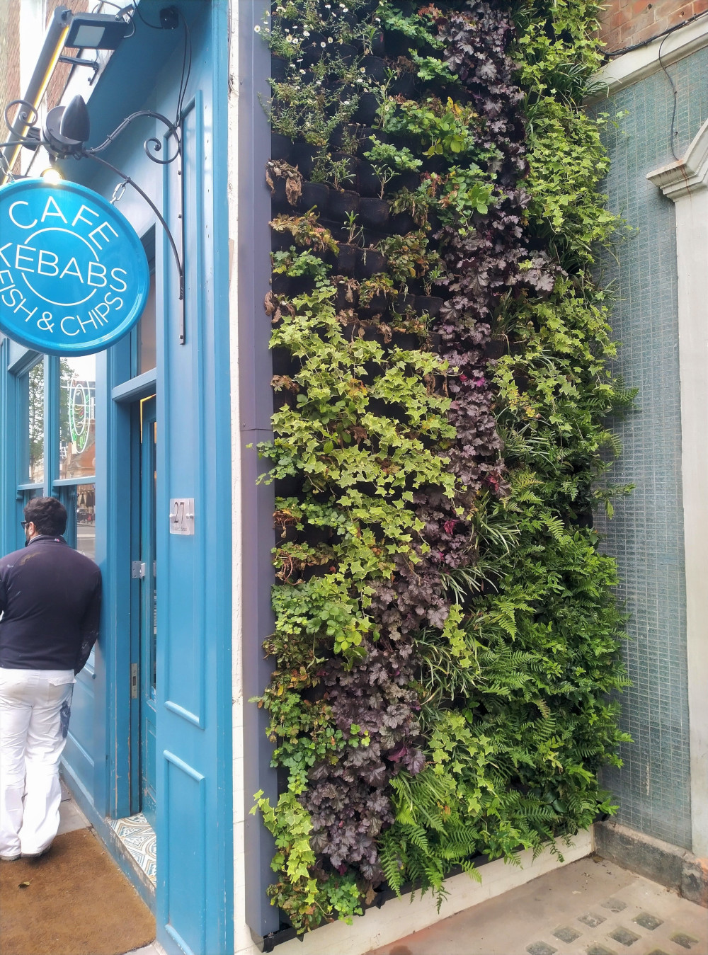 Living wall elizabeth street