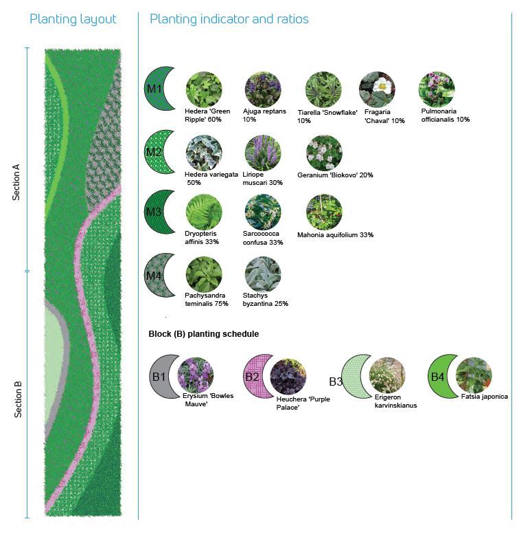 living wall horticulture elizabeth street