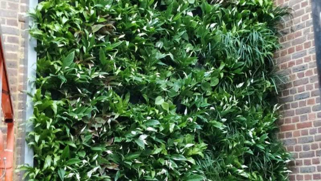 PHOTO 2018 11 21 14 45 47