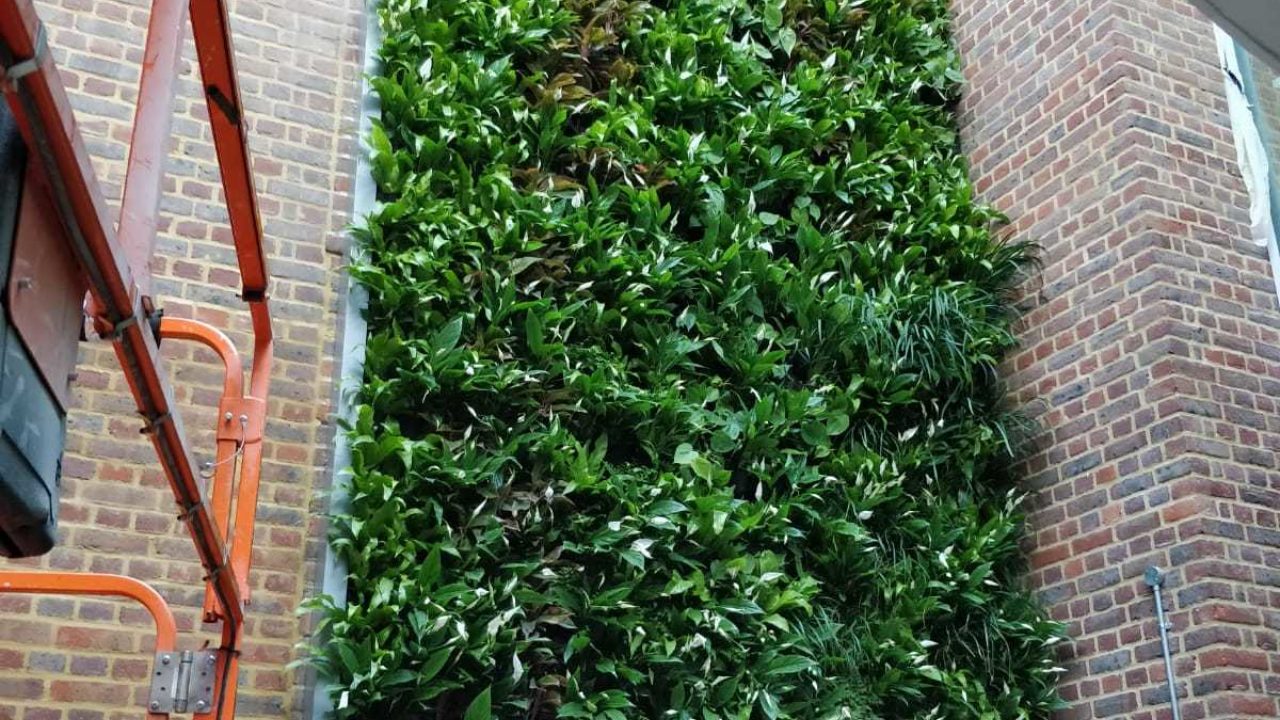 PHOTO 2018 11 21 14 45 48 1