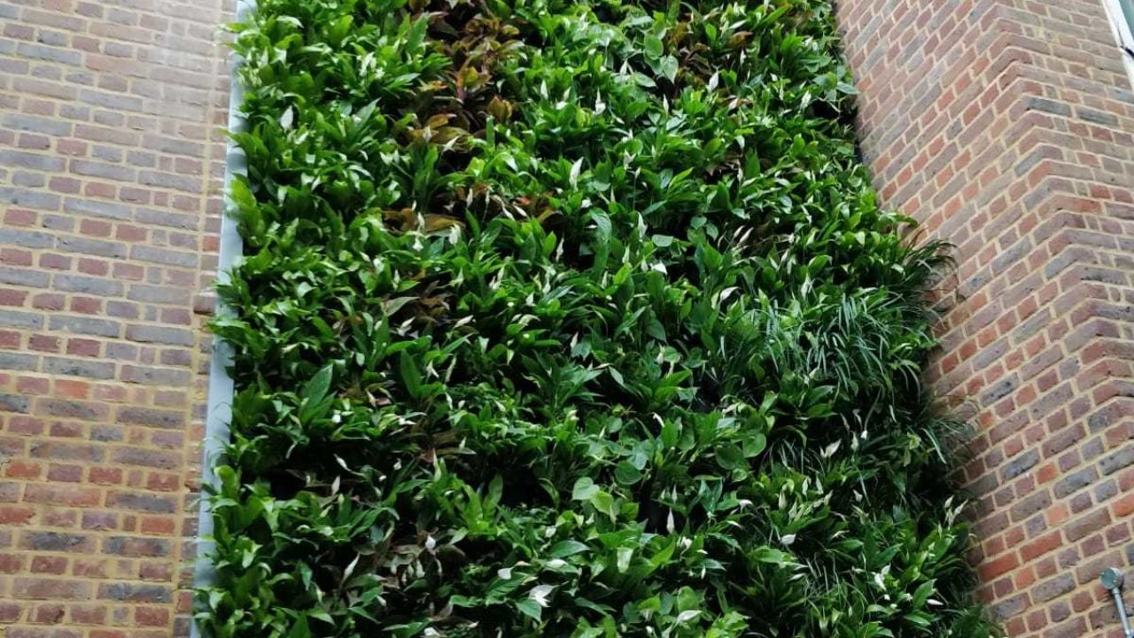 PHOTO 2018 11 21 14 45 49