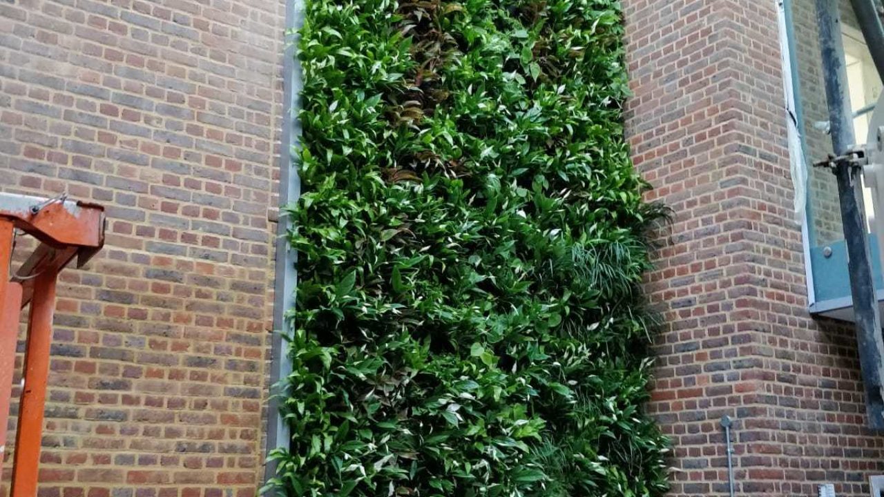 Living Wall Hampton School Vertical