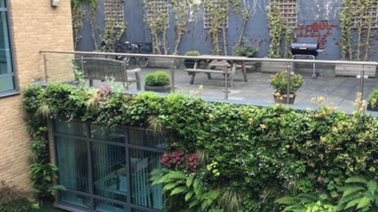 Webber Street Living Wall And Barbeque