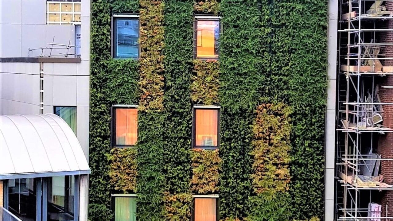 living walls london hotel hoxton front