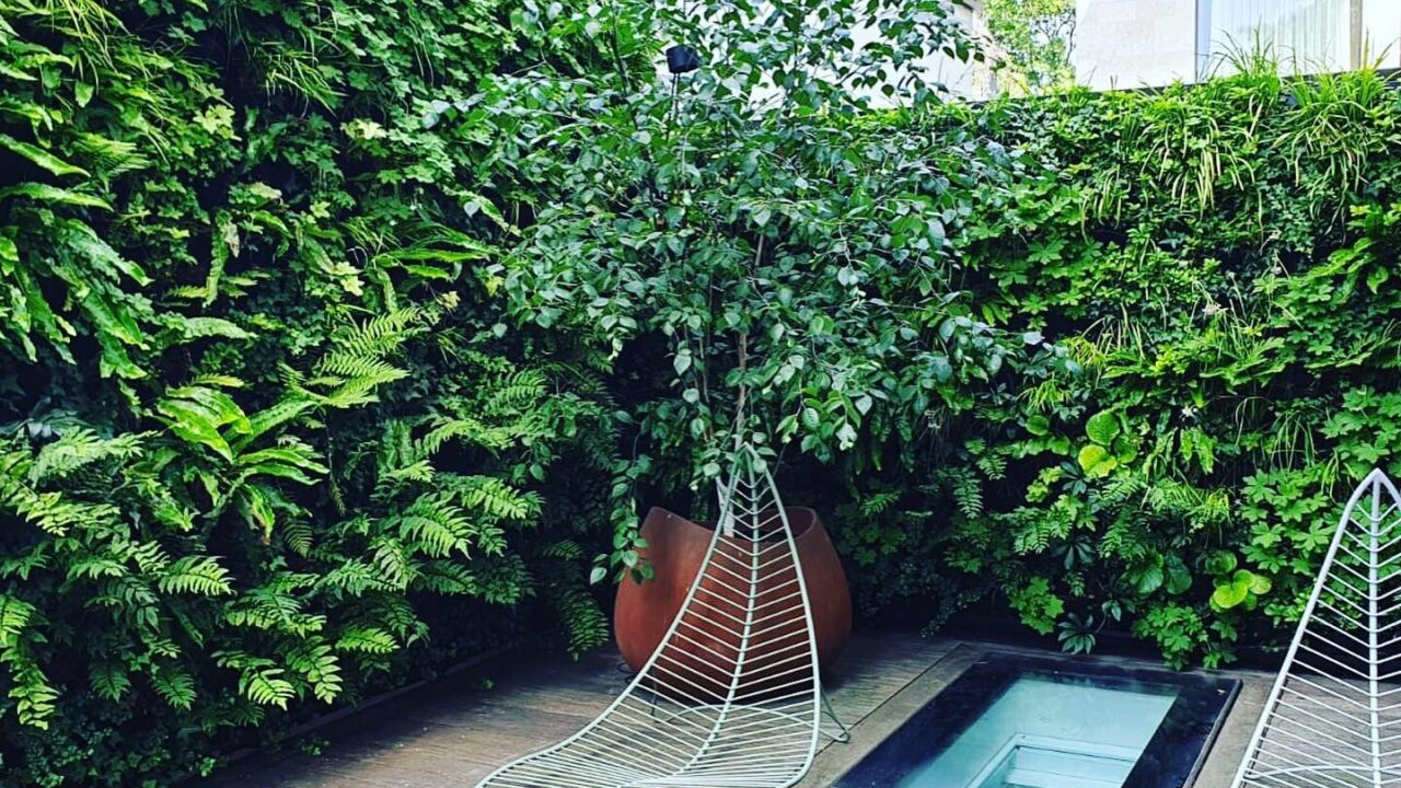 Living Walls Residential London Garden Closeup