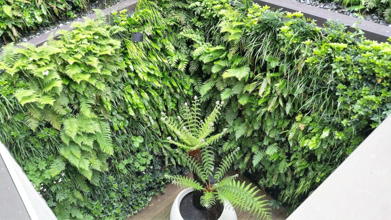 Living Walls Residential London Garden Edmunds