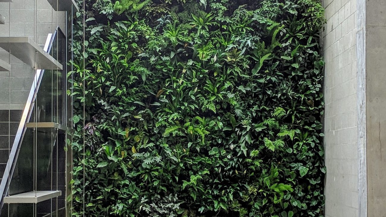 Living Walls New Zealand Offices