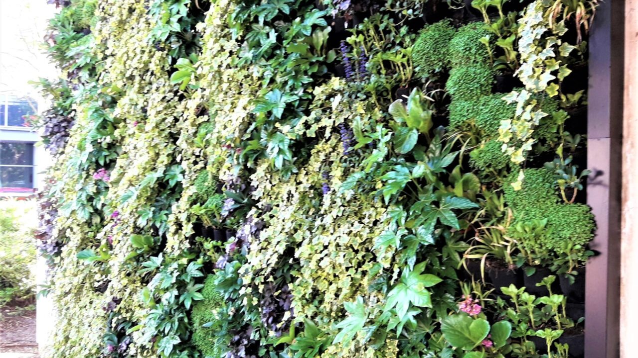 Living Wall Oxford Science Park