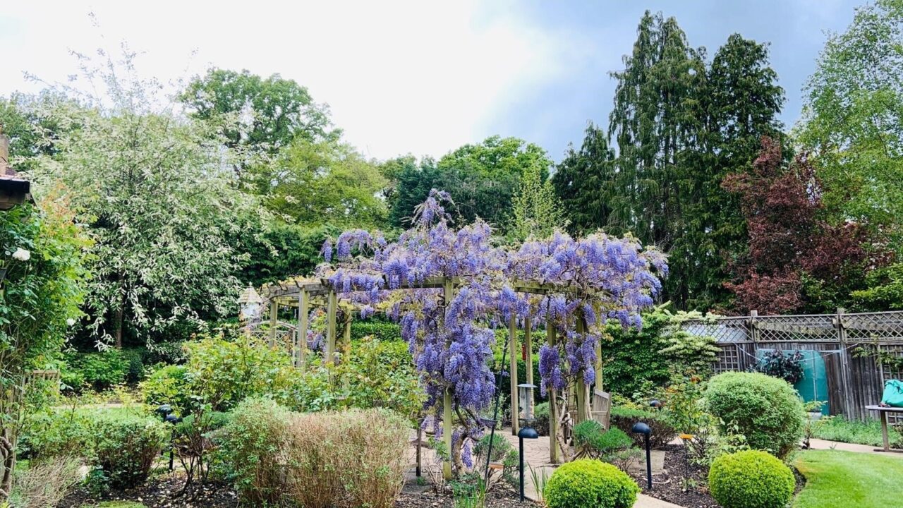 Landscape Maintenance Sunrise Care Home Esher Full Courtyard