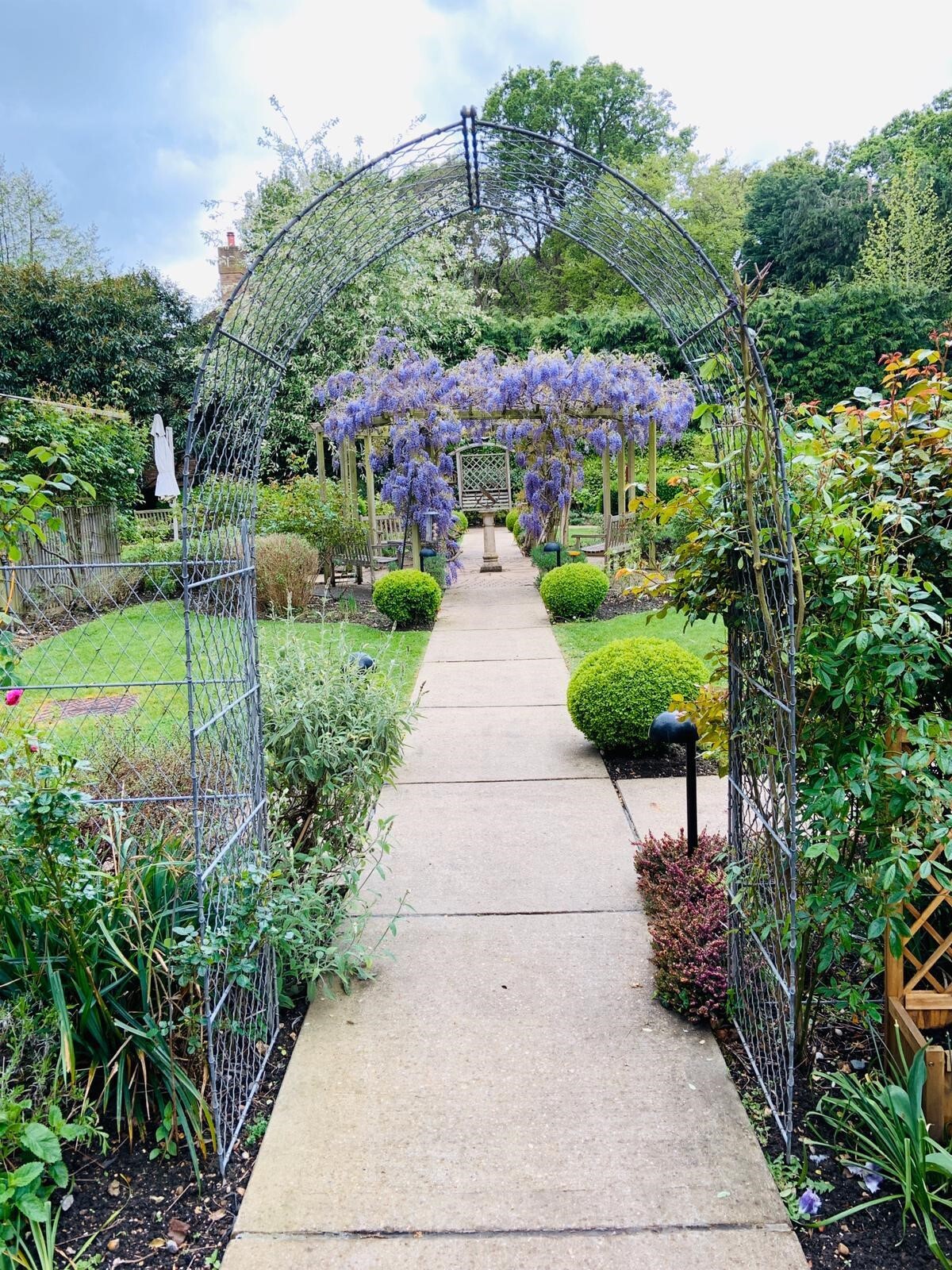 landscape maintenance sunrise care home esher