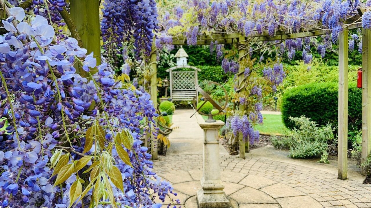 Landscape Maintenance Sunrise Care Home Esher