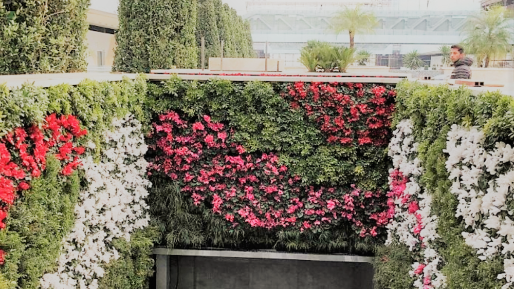 Living Wall Largest Shopping Flowers Bloom