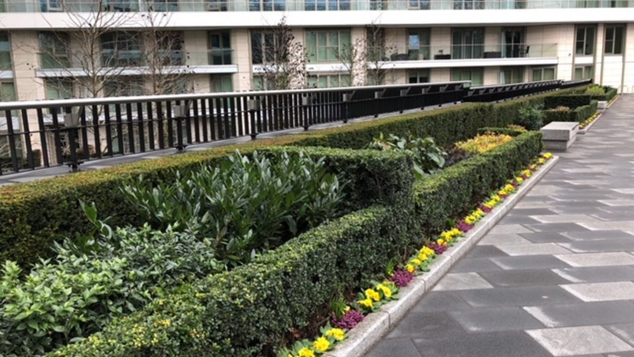 Landscape Maintenance Vista