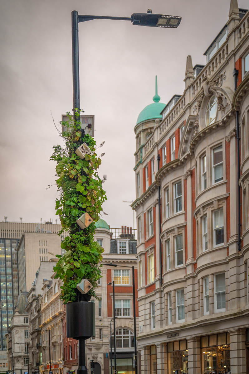 Westminster City Council LivingPillar